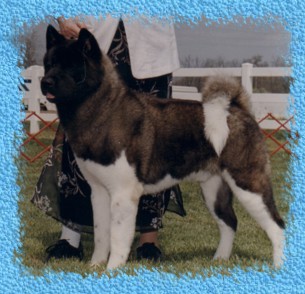 CH. OPR Heartbeat Of America At CR 